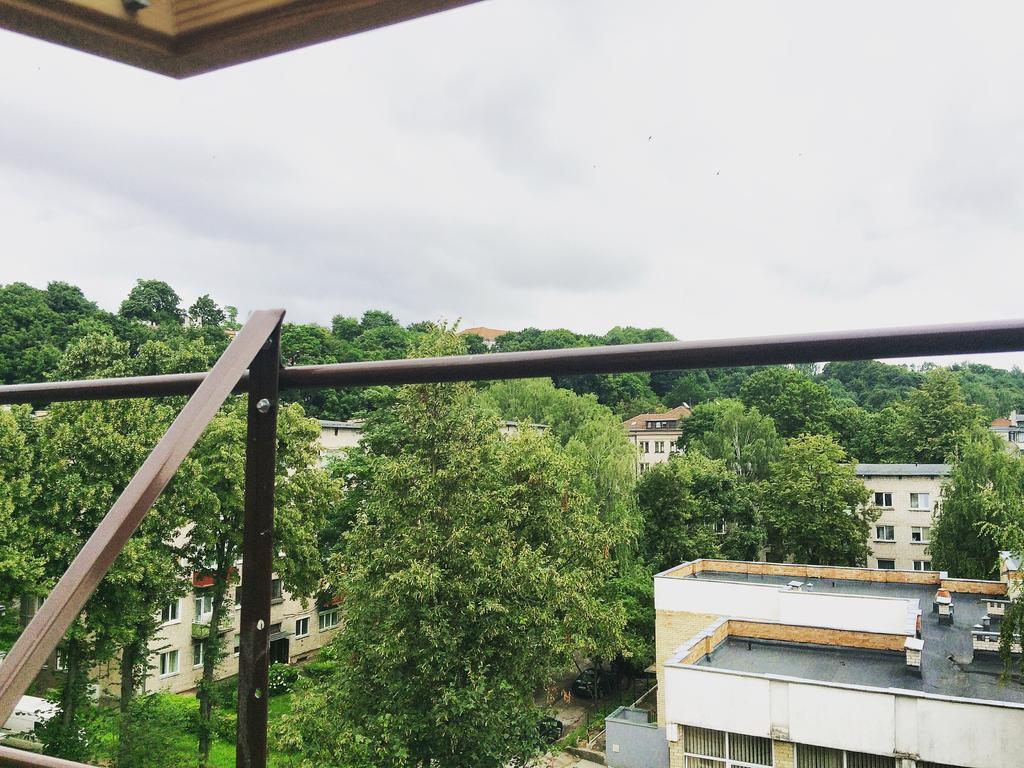 Jolando Apartment Kaunas Bagian luar foto